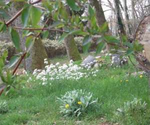 photo    le centre etre nature  