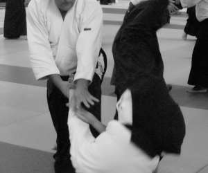 Aikido Tartas