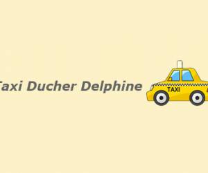 photo Taxi ducher delphine Bordeaux 7980