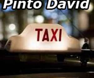 Taxi Pinto David Taxi Pinto David