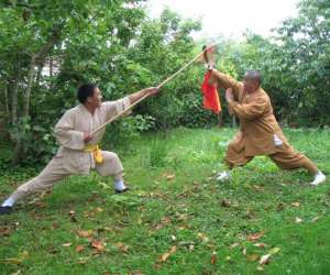 Stages De Kung Fu