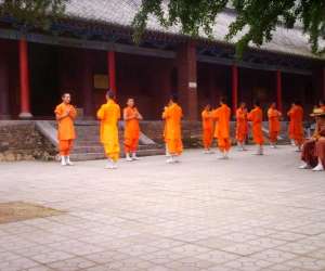 photo Stages de kung fu Bias 3688