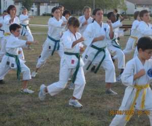 Agen Karate Do