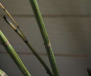 photo Vita-minh relaxation et revitalisation Merignac 4420