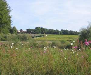 photo Chambres d'hotes au milieu des vignes Bommes 4459