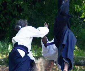 photo Ju-jutsu traditionnel mthode wa jutsu Sarlat La Caneda 5259