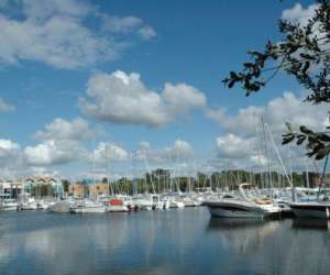 photo Chalet en medoc - locations saisonnires et  vacances   Hourtin 4831