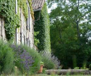 photo Domaine des prs de joussac Jau Dignac Et Loirac 5217