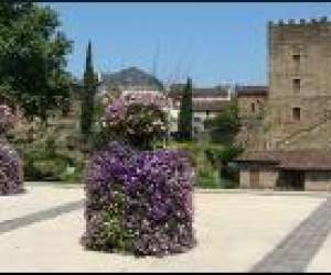 Mairie De Mont De Marsan - Musee Despiau Wlerick