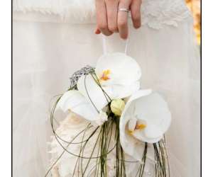 photo Atelier floral une fleur - yolasite Bordeaux 6433
