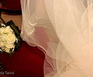 photo Une fleur dans l'entreprise Bordeaux 5761