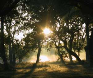 photo Parc r�sidentiel de loisirs randonnee quad en foret Luglon 5772