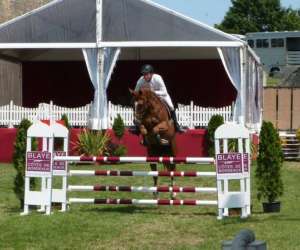 photo Y-d horses pensions Ambares Et Lagrave 8183