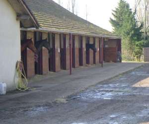 photo Y-d horses pensions Ambares Et Lagrave 8184