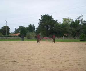 photo Y-d horses pensions Ambares Et Lagrave 8185