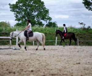 photo Y-d horses pensions Ambares Et Lagrave 8188