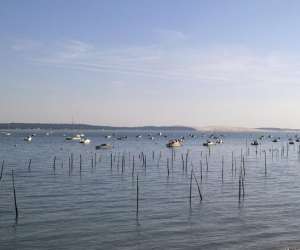 photo Presqu'ile services33 Lege Cap Ferret 6043