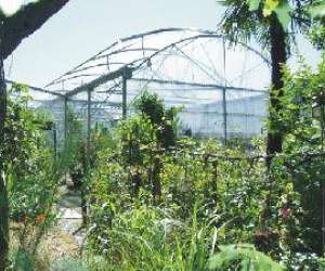 Jardinerie Du Lac Sud Environnement