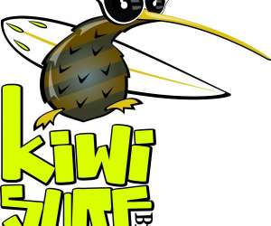 Kiwi surf Kiwi surf