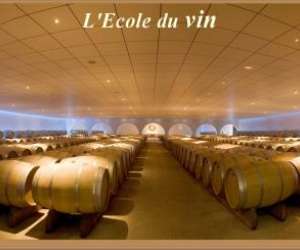 photo Musee des arts et metiers de la vigne et du vin Bordeaux 6770