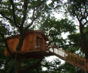 photo La cabane perchee de succos Amorots Succos 6798