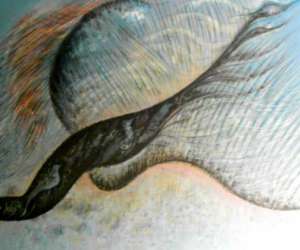 photo Mindszenti laszlo artiste peintre Frespech 6913