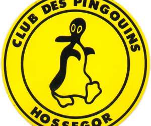 Club Des Pingouins