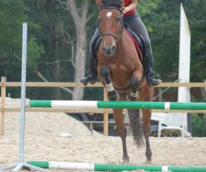 Saubrigues Equitation 