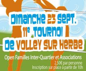 Lons Volley Club Du Moulin