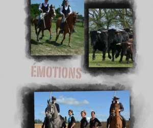 Chevaux Toros Emotions Repas Spectacle