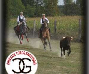 photo Chevaux toros emotions repas spectacle Cauneille 7483