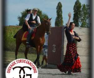 photo Chevaux toros emotions repas spectacle Cauneille 7484