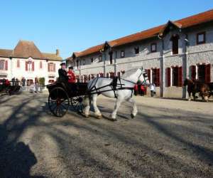 Haras National De Villeneuve Sur Lot