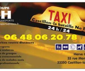 Taxi No1   Mr Grelaud Herve