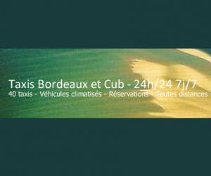 photo Taxi 33 Bordeaux 7986