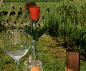 photo La maison dans les vignes Riocaud 8152