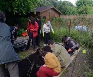 Les Amis De La Terre D