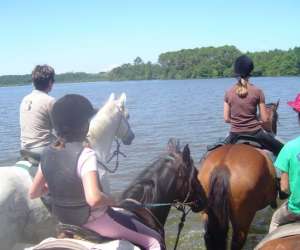photo Ferme questre de peylin Riviere Saas Et Gourby 8164