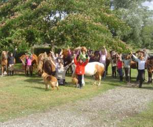 photo Ferme questre de peylin Riviere Saas Et Gourby 8165