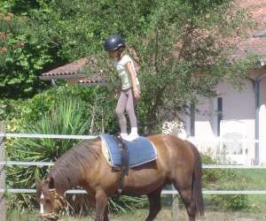 photo Ferme questre de peylin Riviere Saas Et Gourby 8166
