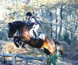 photo Ferme questre de peylin Riviere Saas Et Gourby 8171