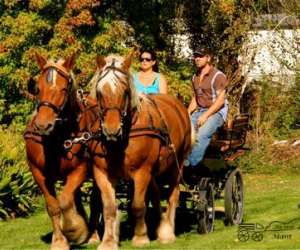 photo Autrot'mant Mant 9134
