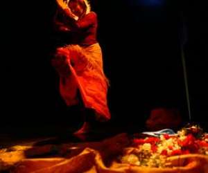photo Cours danse orientale / danses tsiganes Bayonne 9389