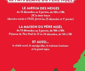 photo Rgie des ftes -  ville mont de marsan Mont De Marsan 9536