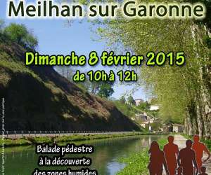 Flnerie  Meilhan Sur Garonne