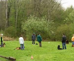 photo Educateur canin comportementaliste landes   Mont De Marsan 9657