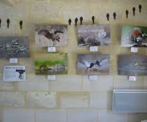 photo Terres d'oiseaux - office de tourisme du canton de st ciers / gironde Braud Et St Louis 10089