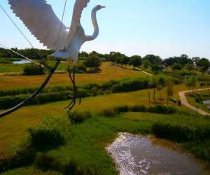 Terres oiseaux Terres oiseaux