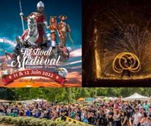 photo Festival mdival sud gironde  -  6me dition - 11-12-06-2022 Landiras 11444