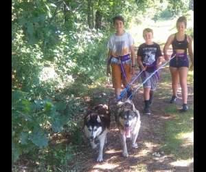 photo Mush gironde balade en chiens de traneau Budos 10464
